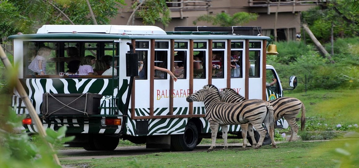 taman safari indonesia bogor regency